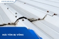 Mái Tôn Bị Võng: Dấu Hiệu, Nguyên Nhân Và Cách Kiểm Tra Khung Đỡ